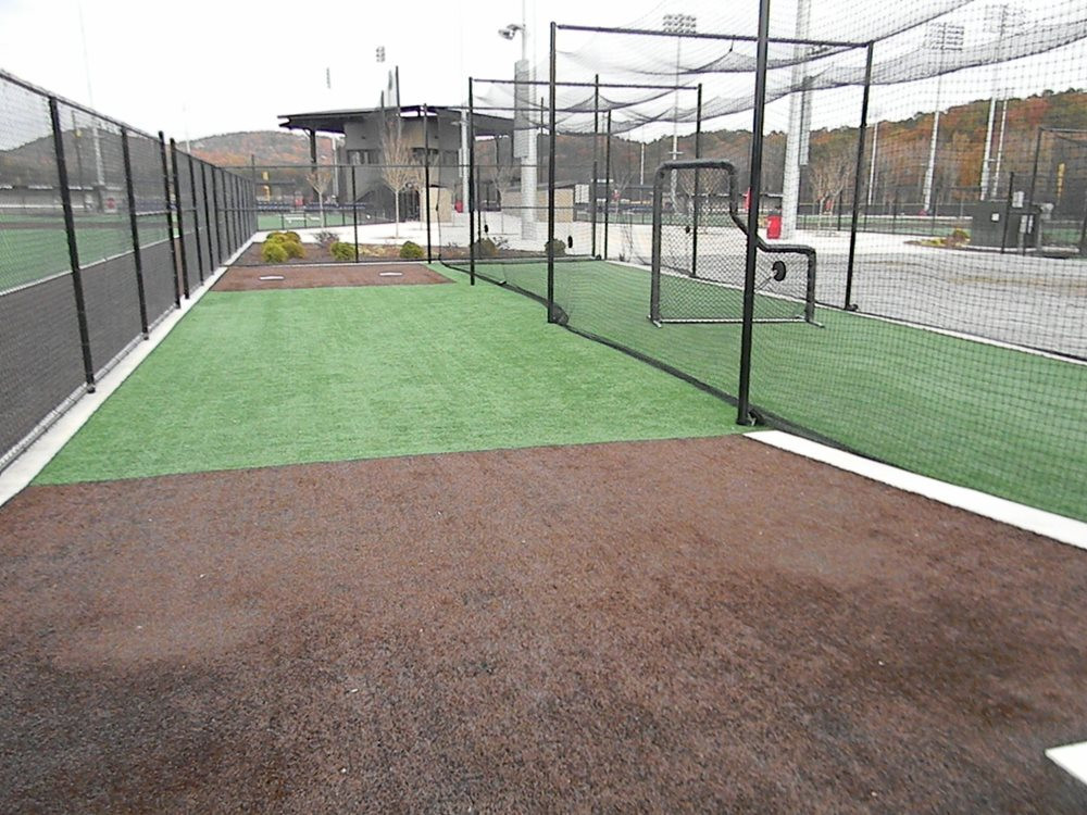 San Francisco artificial turf batting cage